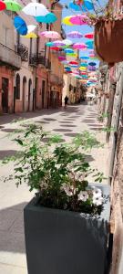 Domos La Corte Ghibellina img5