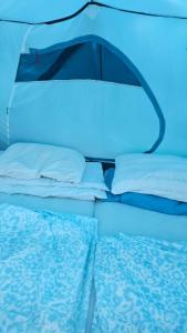 Camping by the beach Vama Veche