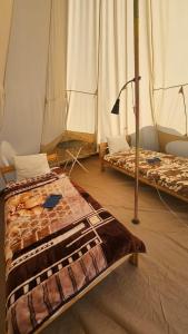 Camping by the beach Vama Veche