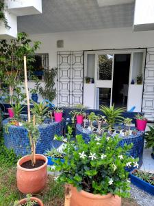 MAISON D HÔTES Marine KSAR SGHIR