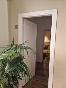 The Tribunali Apartments By HouseinNaples