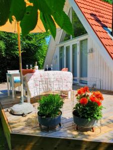 The Doll House - Adults Only