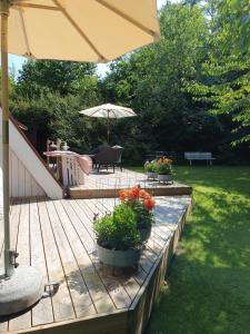 The Doll House - Adults Only