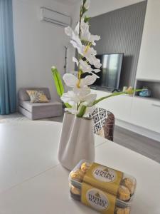 Apartament Mirela