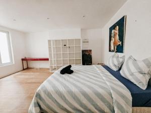 Appartements Le Colore : photos des chambres