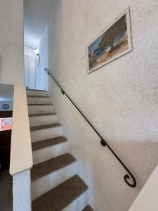 Grillo del faro img18