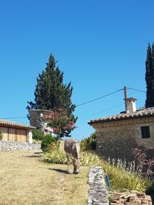 Maisons d'hotes Charmante maisonnette en ARDECHE : photos des chambres