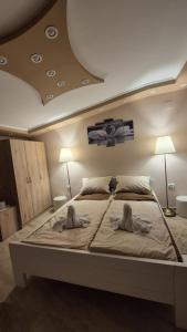 Apartmani Tiski Labud