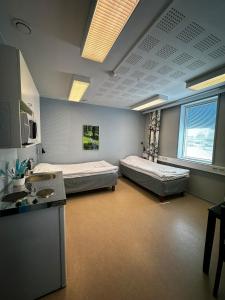 Jääskän Loma Hostelli Antin Tupa