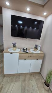 Apartmani Tiski Labud