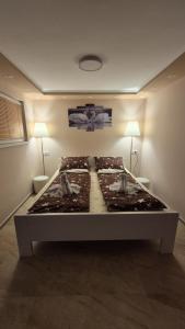 Apartmani Tiski Labud