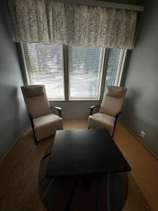 Jääskän Loma Hostelli Antin tupa, Tetrisnurkka