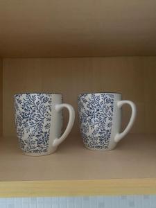 ASFortuna Studio midori