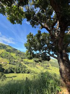 Mirante do Sol 2 - café da manhã, hidro e lareira