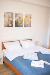 Apartman Viševac Vranje