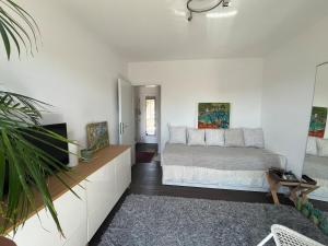 Duplex avec belle vue sur la Moselle