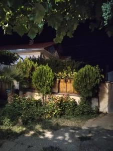 MARIA Apartment Gevgelija