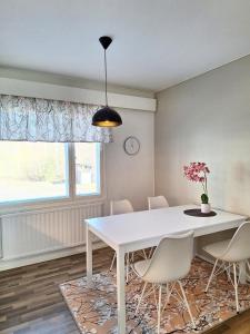 Jääskän Loma, Kojolapark asunto 2