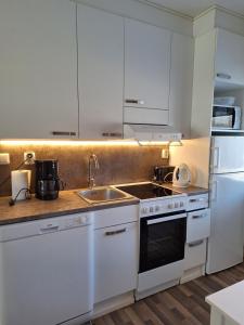 Jääskän Loma, Kojolapark asunto 2