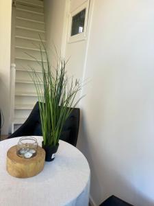 Appartements Charming cottage near the sea : photos des chambres