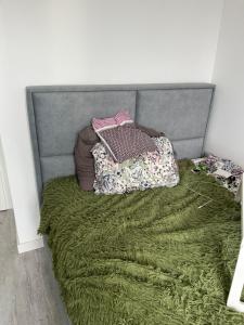 Great room on Krzewna