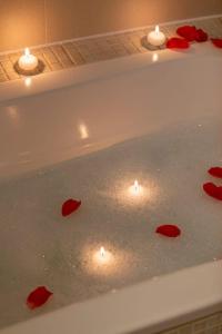 DODI GREEN apartment