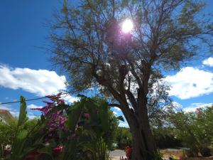 Casa de ferias Escapadas Casa amorosa Tranquilidade e natureza 1 quarto 6 pessoas