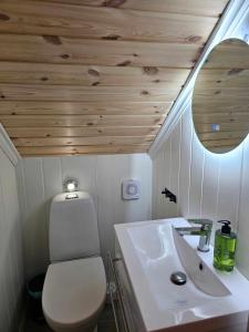 Flott hytte i Elgtrakket 9, 3864 Rauland Skisenter - Holtardalen