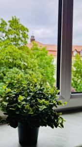 Stylish & sunny Apt near River