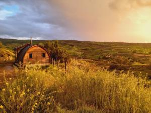 Yurts in Cyprus - Koliba Tiny House