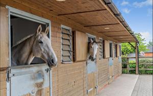 Countryside Haven near Silverstone with pool and tennis court