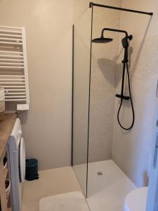 Appartements Cozy studio in Aix-les-Bains : photos des chambres