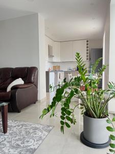 Apartamentai Prie Kaštono