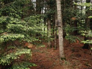 Le Fairytale - Enchanting Getaway with Spa & Sauna