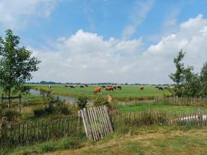Kleurrijke retro contructam caravan vlakbij het Sneekermeer