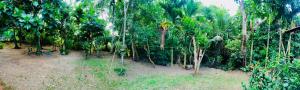 Rani Home Stay