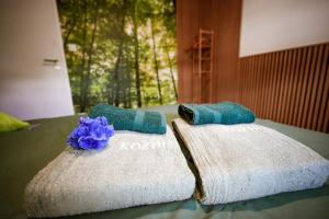Appartements Loveroom Kozhi Balneo, Billard & Cine - Bretagne : photos des chambres