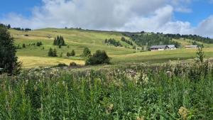 Appartements Appartement lumineux station Les Saisies 100 M des pistes et ESF : photos des chambres