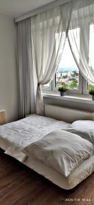 Przy Parku Wyspiańskiego