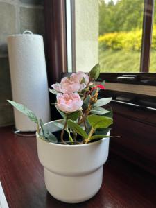 Zaciszna Przystań Dębina