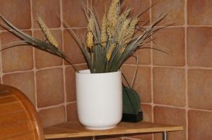 Zaciszna Przystań Dębina