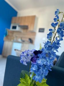 Appartement bleu mer paisible