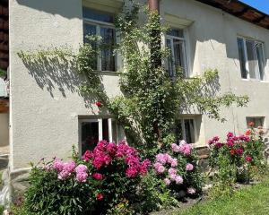 Jimsher Naveriani Guesthouse