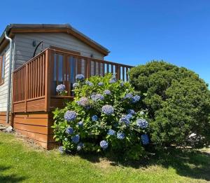 42 pine lodge & sea views