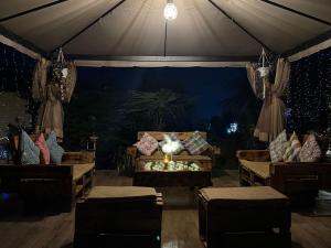 Daiana Green House