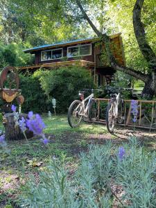 HOSTEL CASA C Alojamiento, Coworking y Centro Cultural