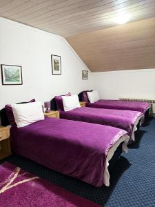 Guesthouse Prenociste Faraon