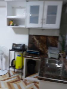 Huge apartment transient