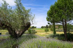 Appartements Residence Pont Royal en Provence - maeva Home : photos des chambres