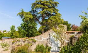 Maisons de vacances Les Arenes - Grande maison familiale renovee, 6 a 12 personnes , Vue sur les Arenes, Garage vehicule electrique, Parking Gratuit : photos des chambres